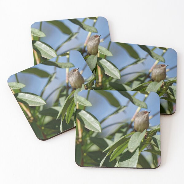 Item preview, Red-winged fairywren female in leafy bush designed and sold by hendrikspix.