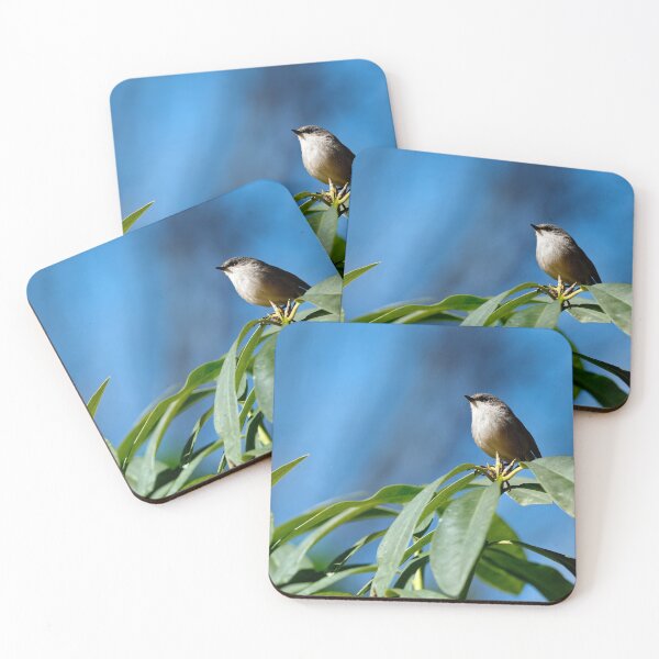 Item preview, Red-winged fairywren female in leafy bush designed and sold by hendrikspix.