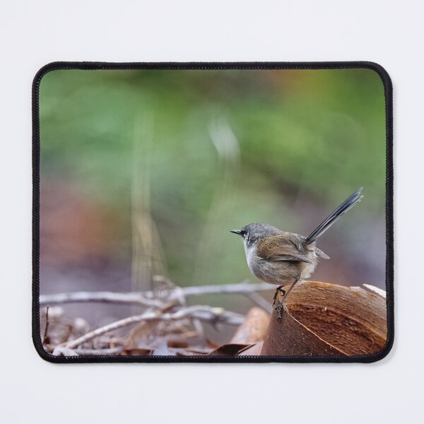Item preview, Red-winged fairywren female designed and sold by hendrikspix.