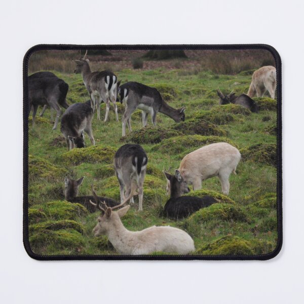 Item preview, Deer on a Winter's Day designed and sold by Ms-Bexy.