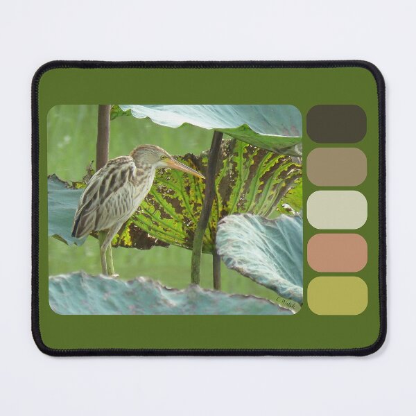 Item preview, Yellow Bittern Nature Palette designed and sold by Linda Walsh.