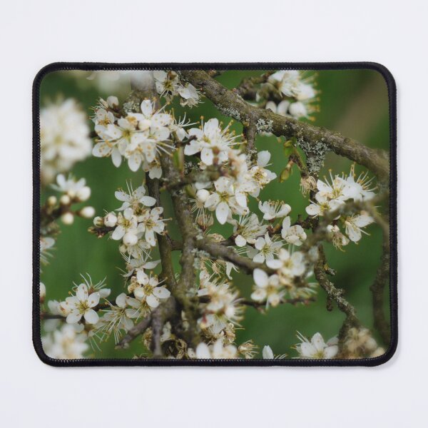 Item preview, April growth designed and sold by Ms-Bexy.