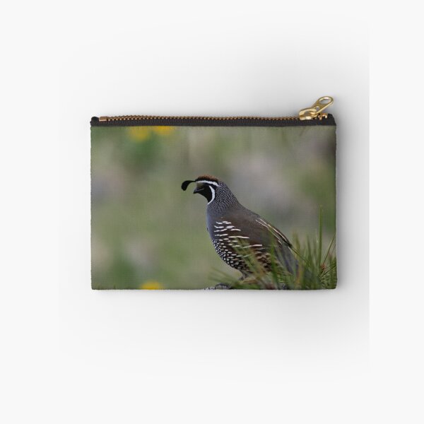 Item preview, Quail designed and sold by Justin Atkins.