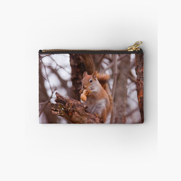 Item preview, Got a nut???? designed and sold by Josef Pittner.