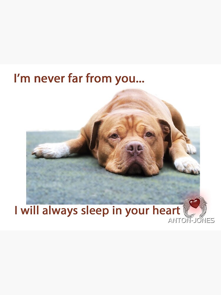 Pet Loss Dog Loss Greeting Card Bulldog Sympathy Card