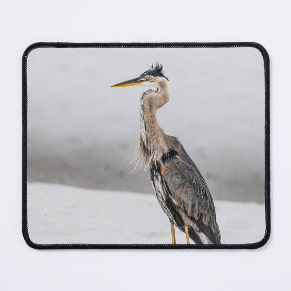 Item preview, How Do My Feathers Look designed and sold by mljdwhite.