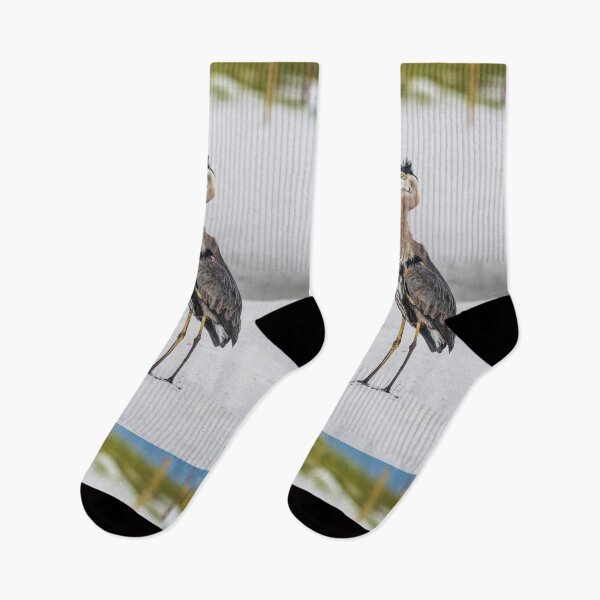 Item preview, How Do My Feathers Look designed and sold by mljdwhite.
