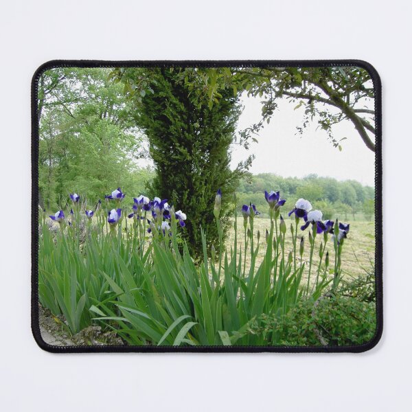 Item preview, An Iris Blessing  designed and sold by angel1.