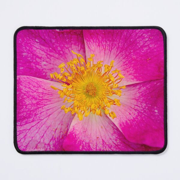 Item preview, Nootka rose cyclam designed and sold by AlidaArt.