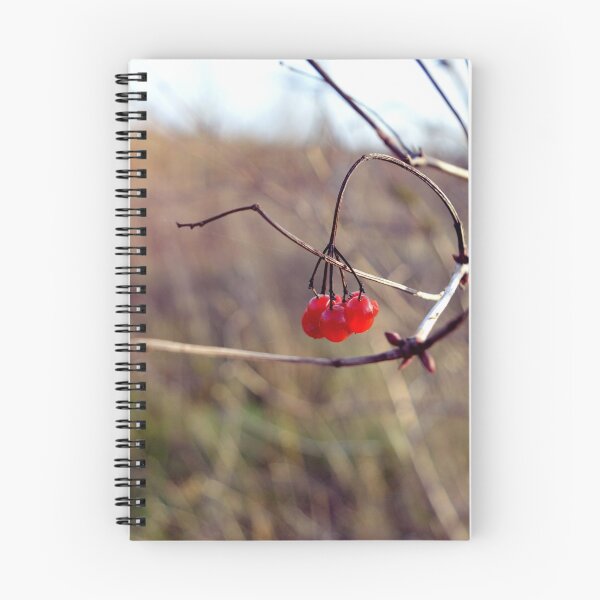 Item preview, Red berries designed and sold by marinalessa.