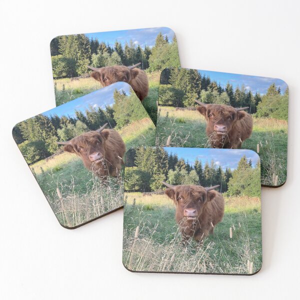 Item preview, Scottish Highland Cattle Calf 2928 designed and sold by SaarelaHighland.