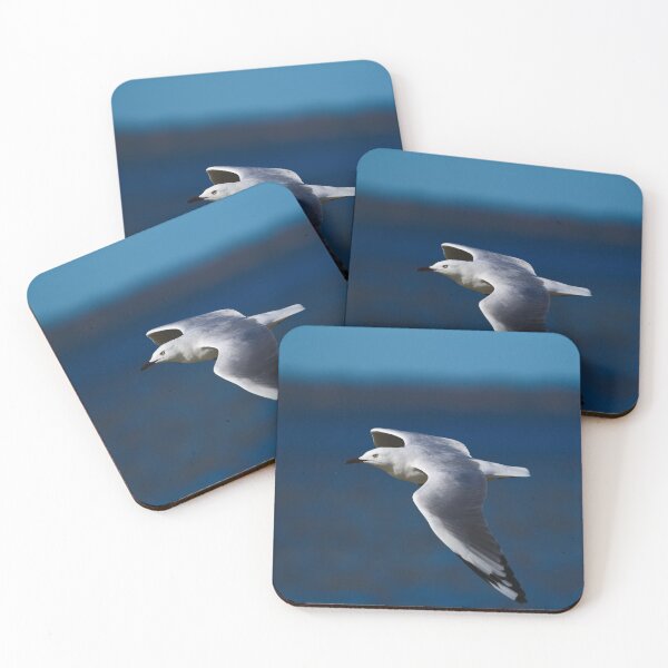 Item preview, A Seagull Making A Turn designed and sold by Jason Gilbert.
