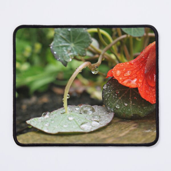 Item preview, rain drops designed and sold by Ms-Bexy.