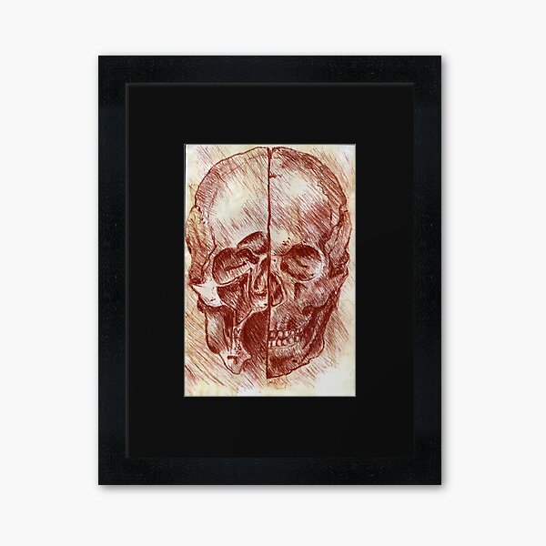 Anatomical Skull- Study in Red Framed Art Print