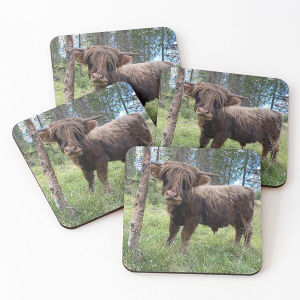 Item preview, Scottish Highland Cattle Calf 2933 designed and sold by SaarelaHighland.