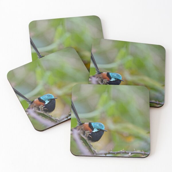 Item preview, Beautiful Red-winged fairywren male in a thorny bush designed and sold by hendrikspix.