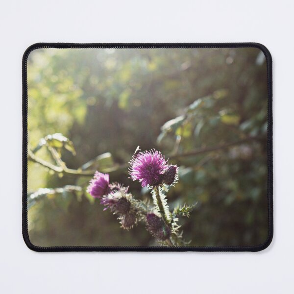 Item preview, Thistles designed and sold by Ms-Bexy.