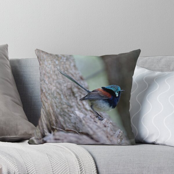 Item preview, Wild red-winged fairywren male designed and sold by hendrikspix.