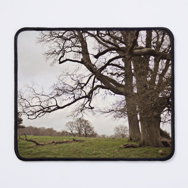 Item preview, bare trees designed and sold by Ms-Bexy.