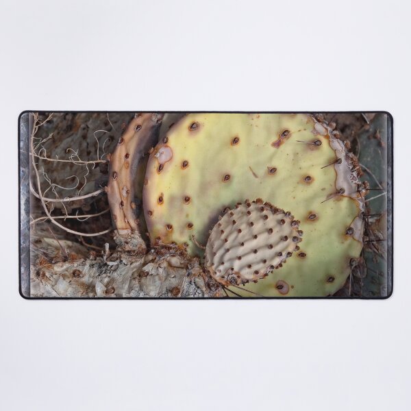 Item preview, Prickly Pear designed and sold by Becky Titus.