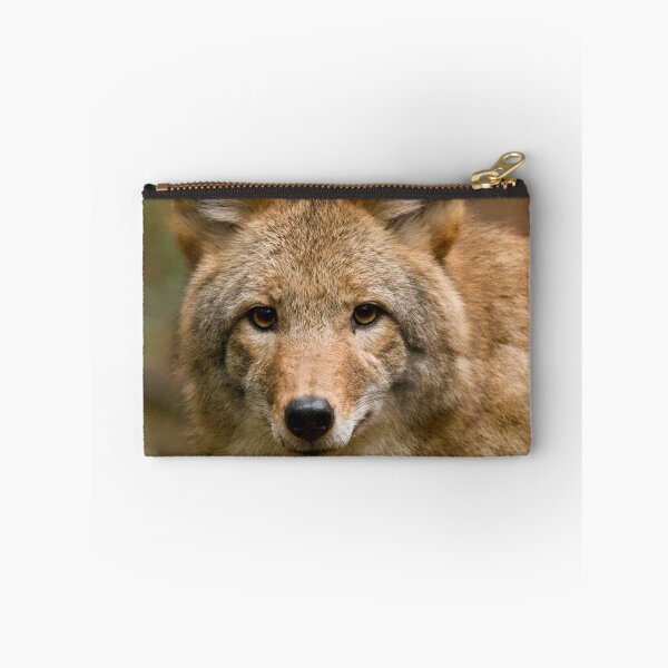 Item preview, Wiley....Up Close And Personal designed and sold by TeresaB.