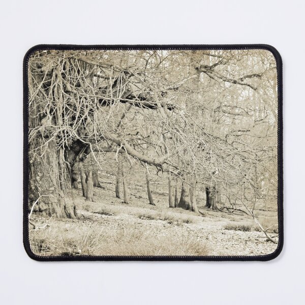 Item preview, Bare designed and sold by Ms-Bexy.