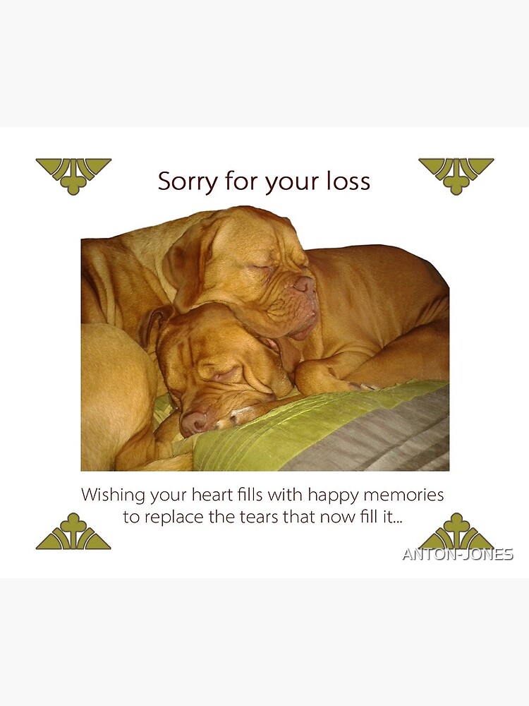 Pet Loss Sympathy Card Sorry For Your Loss Greeting Card By Anton Jones Redbubble