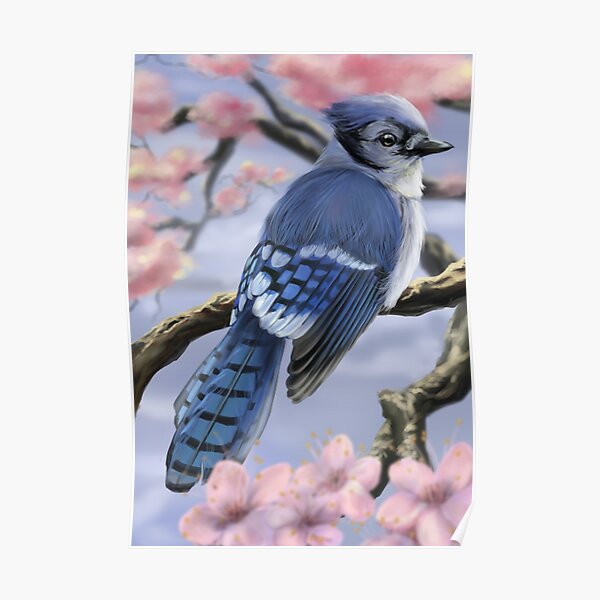 Baby Blue Jay Poster for Sale by Eggtooth