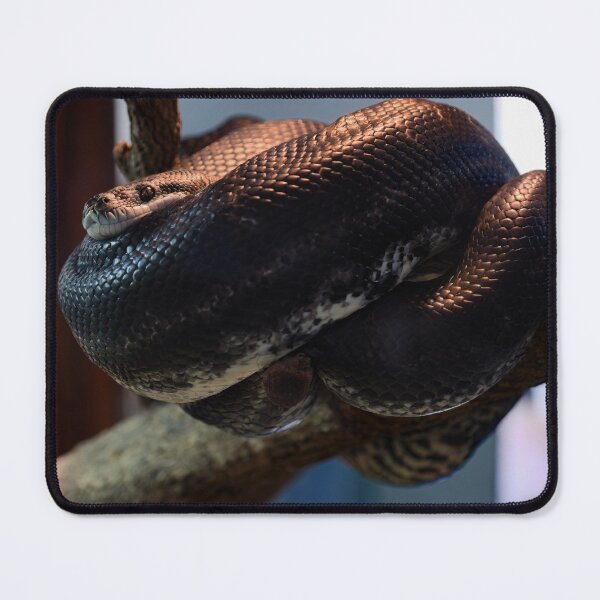 Item preview, SouthWest Carpet Python designed and sold by hendrikspix.