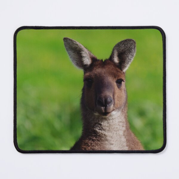 Item preview, Australian kangaroo closeup portrait designed and sold by hendrikspix.