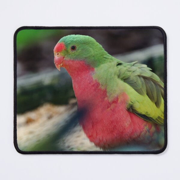 Item preview, Crossbreed parrot designed and sold by hendrikspix.