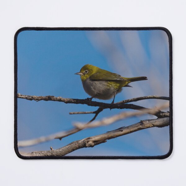 Item preview, Australian Silvereye bird designed and sold by hendrikspix.
