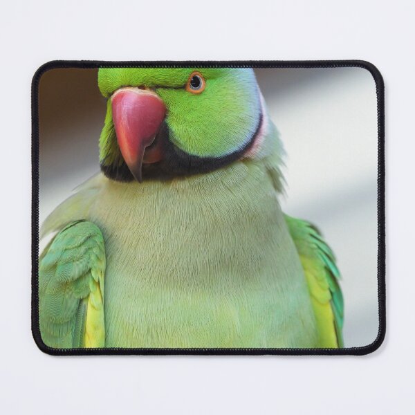 Item preview, Rose-ringed Parakeet designed and sold by hendrikspix.