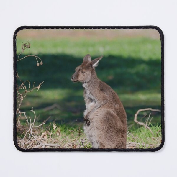 Artikelvorschau, Australisches Känguru kratzt sich entworfen und verkauft von hendrikspix.
