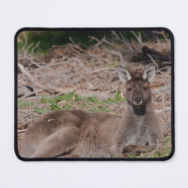 Item preview, Resting Australian kangaroo  designed and sold by hendrikspix.