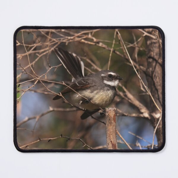 Item preview, Grey fantail bird designed and sold by hendrikspix.
