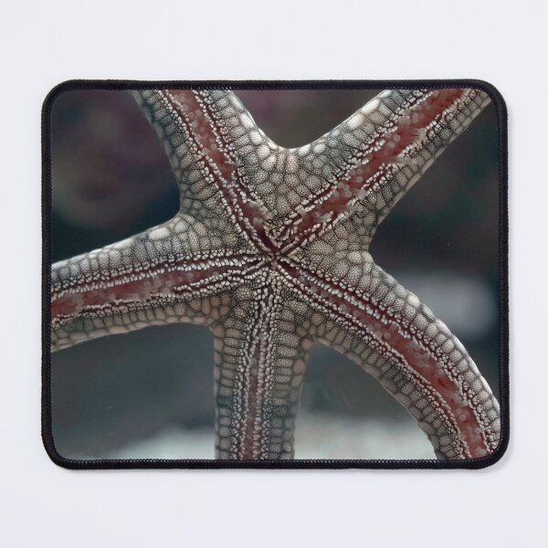Item preview, Starfish closeup macro photo designed and sold by hendrikspix.