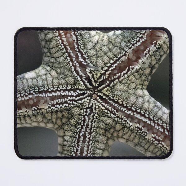 Item preview, Starfish closeup macro photo designed and sold by hendrikspix.