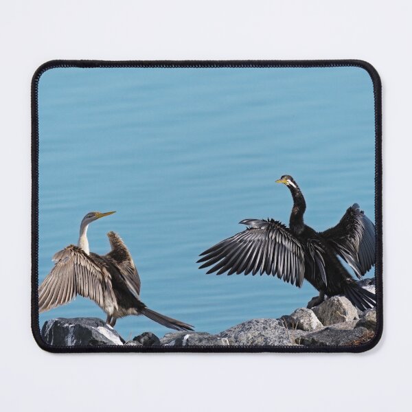 Item preview, Australian darters basking in the sun  designed and sold by hendrikspix.