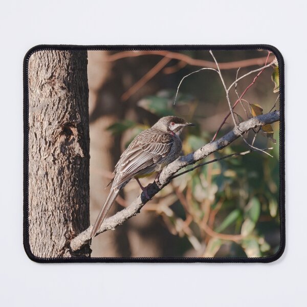 Item preview, Wild Red Wattle bird in the bush designed and sold by hendrikspix.
