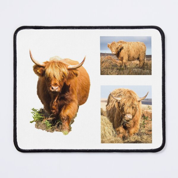 Item preview, Highland Cow Collection II designed and sold by Jane Stanley Photography.