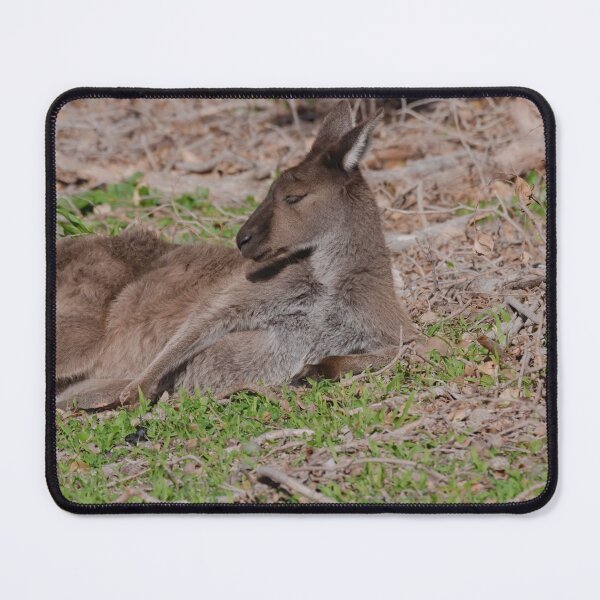 Artikelvorschau, Australisches Känguru liegend entworfen und verkauft von hendrikspix.