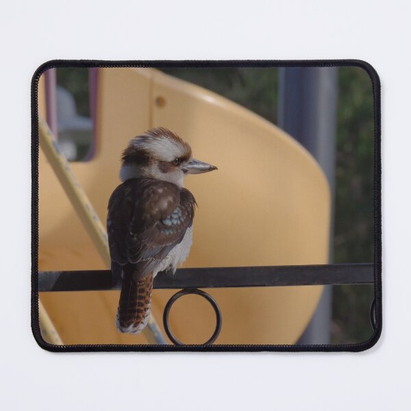 Item preview, Kookaburra sitting on a fence photo in the late evening designed and sold by hendrikspix.