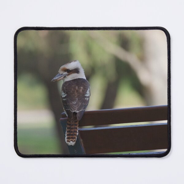 Item preview, Kookaburra sitting on a wooden bench in the late evening designed and sold by hendrikspix.