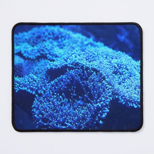 Item preview, Blue coral macro close up designed and sold by hendrikspix.