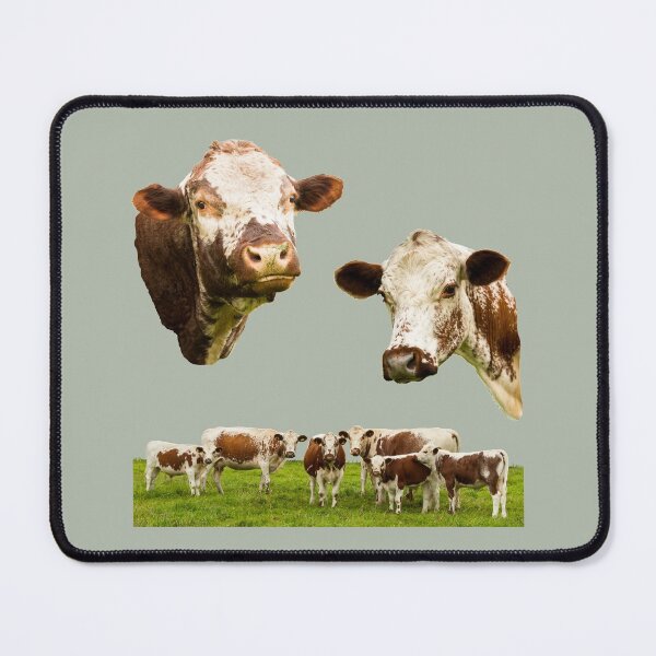 Item preview, Irish Moiled Cow Collection designed and sold by Jane Stanley Photography.