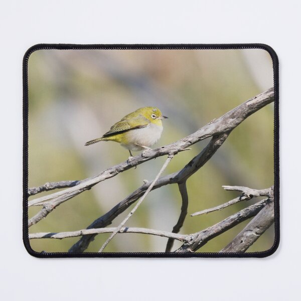 Item preview, Native West Australian bird called Silvereye on a branch designed and sold by hendrikspix.