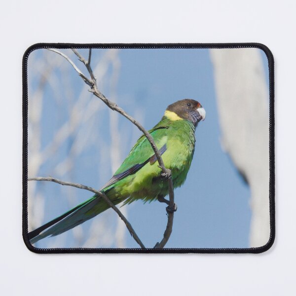 Item preview, Wild Australian Ringneck in a tree designed and sold by hendrikspix.