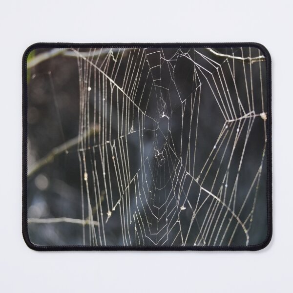 Item preview, Spiderweb blowing in the sun designed and sold by hendrikspix.
