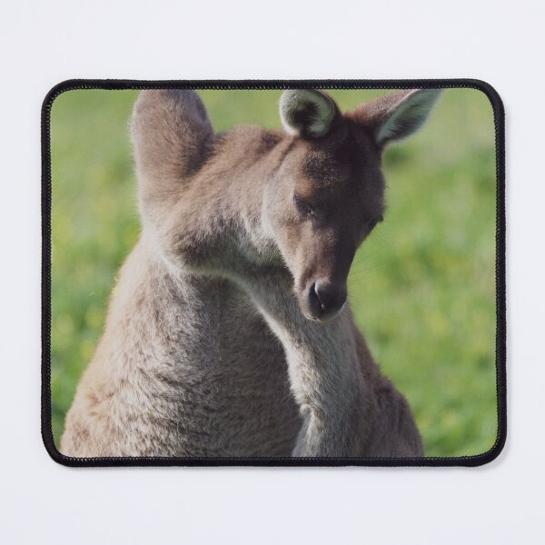 Item preview, Australian kangaroo scratching an itch designed and sold by hendrikspix.